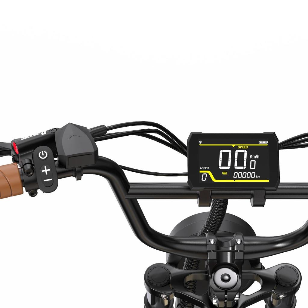 ONESPORT W77 Electric Bike - 48V 250W Motor, 90km Range, 20"x4.0" Tires, Hydraulic Brakes, Bluetooth Support for Urban Commute