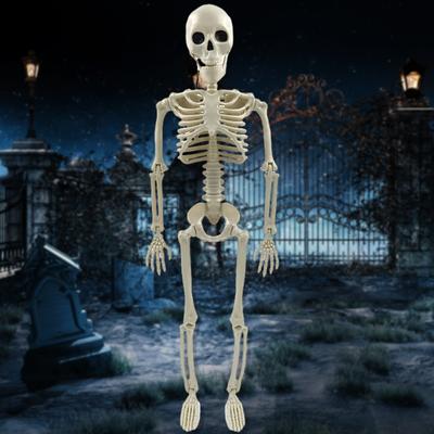 Crâne articulé complet pour Halloween avec articulations mobiles 16/24 pouces Taille réelle Squelette humain Thème Festival Cimetière Maison Hantée Décor