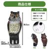 Bird Repellent Set of Realistic Owl Deter Crows and Pest Control Owl Realistic Bird Ornament for Garden Decor K.Lab 2, Design, Pigeons, Item, Object,