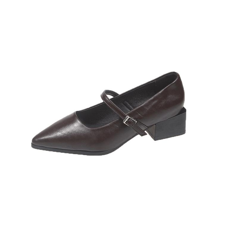 

French pointed single shoes women s 2025 fashion new thick heel with buckle high heels temperament Mary Jane shoes 40