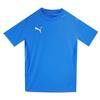 Puma Team Goal Jersey Asian FiT  65940302  T shirT