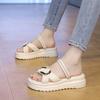 Flat Shoes Female Womens Slippers Outdoor Platform Pantofle Luxury Slides Summer Beach 2025 Designer Shoes Woman 2025 Slippers F