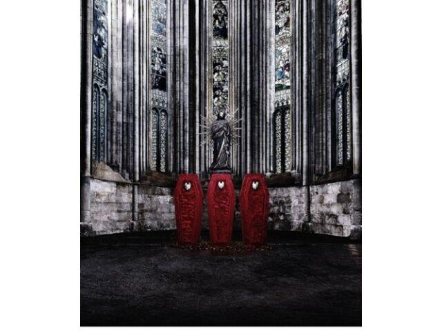 

BABYMETAL CD+DVD World Tour 2014, первый альбом, первое ограниченное издание TFCC-86460 НОВИНКА