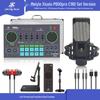 Meiyin Xiuxiu P600pro C180 Sound Card & Microphone Set – Mobile & Computer Compatible