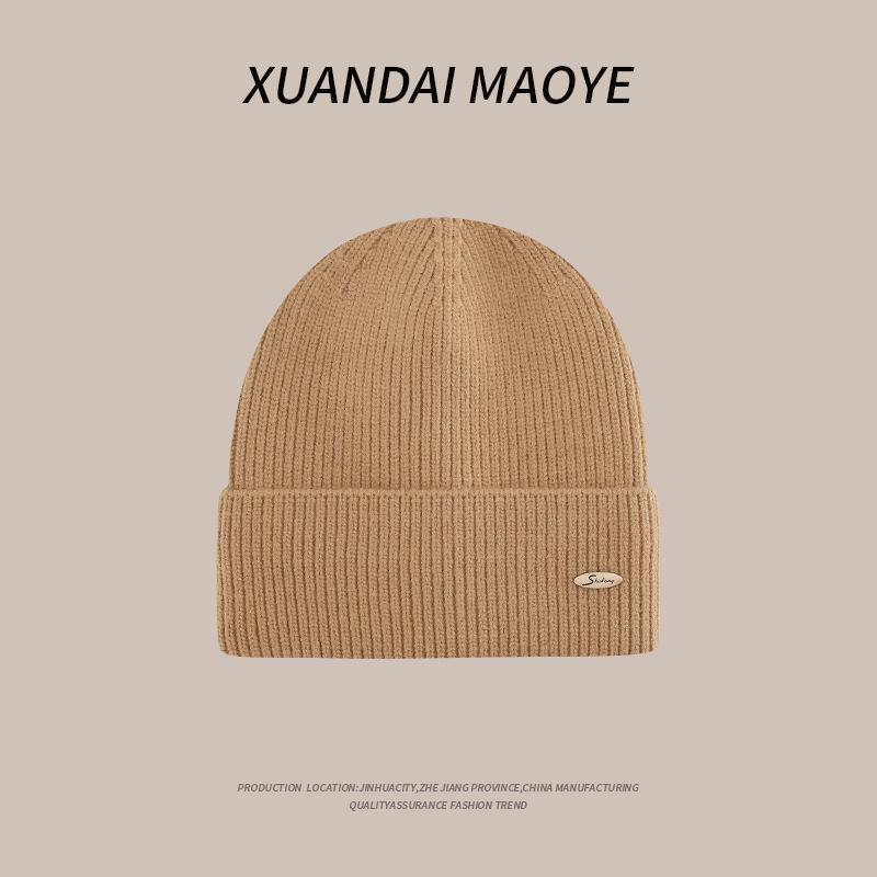 Autumn and Winter Casual Hats for Women Plush New Korean Knitted Hats Versatile Warm Ear Protection and Thickened Fashion Student