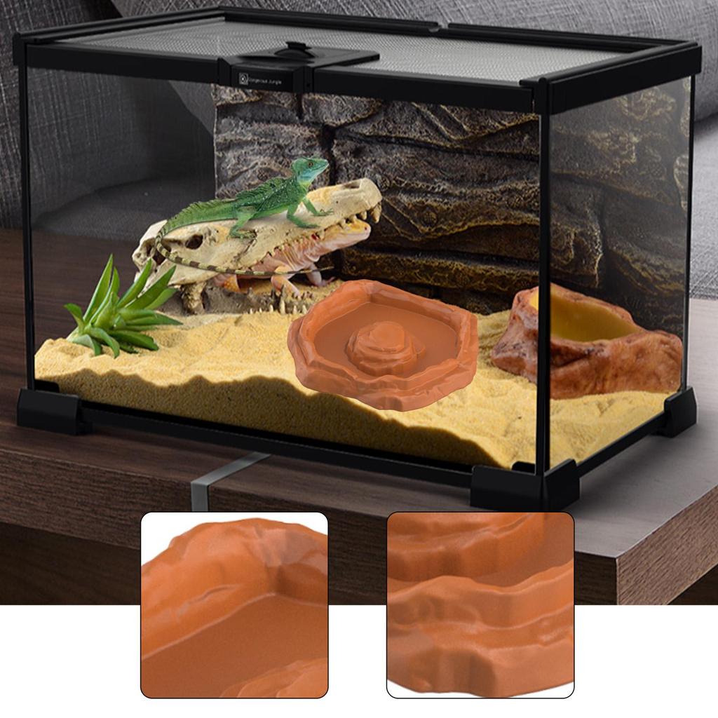 Reptilien Futter Napf Tank oder Aquarium Zubehör Reptilien Wassernapf Futterschale für Bartagame Gecko Eidechse Schildkröte Einsiedlerkrebs
