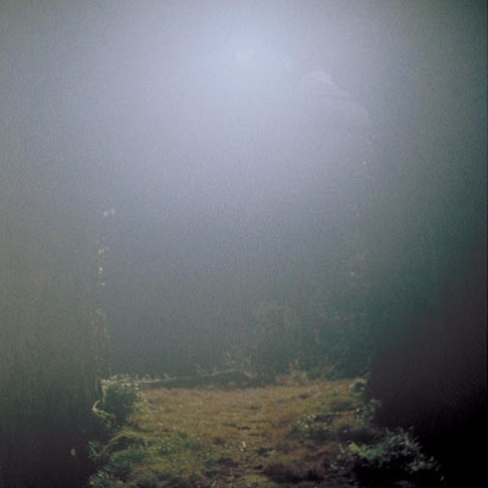 

Сасакубо Сасакубо Венера Пингвин прозрачный цветной винил