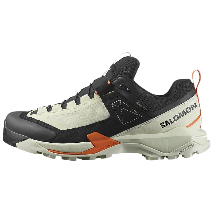 

Salomon X Ultra Alpine Gtx Comfortable Non-Slip Durable Low-Cut Hiking Shoes Unisex Hiking Shoes Black Green L47686400 36