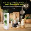White Fresh Herb Keeper Clear Window Herb Preserver Saver  Fridge Organization