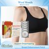 Papaya Breast Plumping Patch Chest Shaping Lifting Tightening Prevent Sagging Breathable Adhesive Fitting Breast Firming Sticker