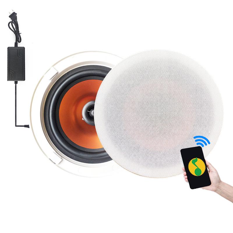 Bluetooth Ceiling Speaker with Amplifier: High-Quality Sound, Bass, Coaxial Design