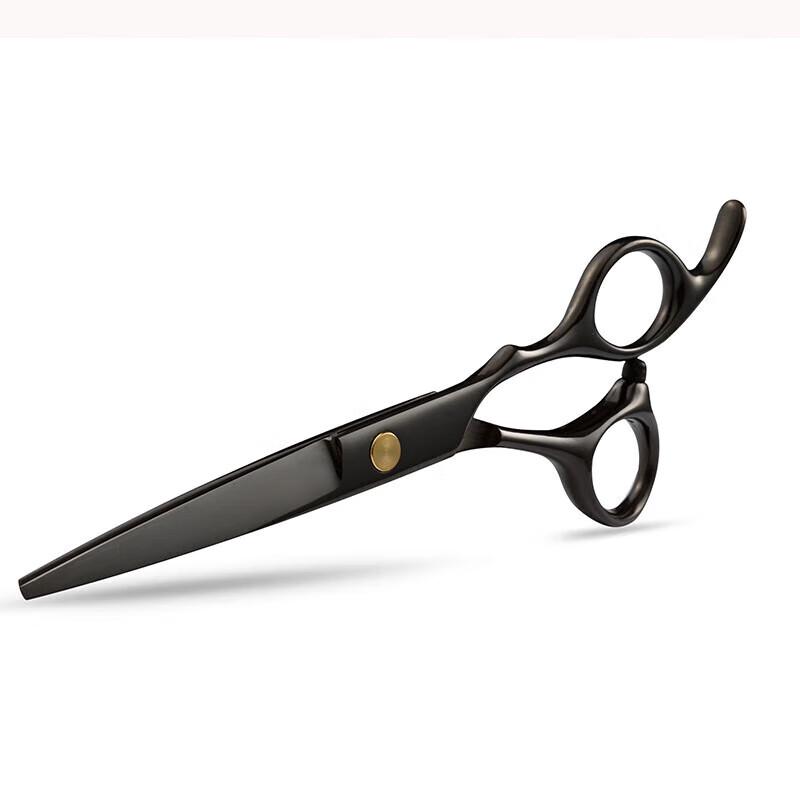 Professional Hairdressing Scissor Set