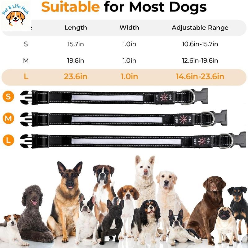 USB-C Rechargeable Waterproof Light Up Dog Collar Anti-lost Glowing Collar 6 Colors Adjustable for Night Walking