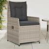 VidaXL Garden Reclining Chairs Set of 2 Light Grey Wicker, Reclining Garden Armchair, Recliner 368657