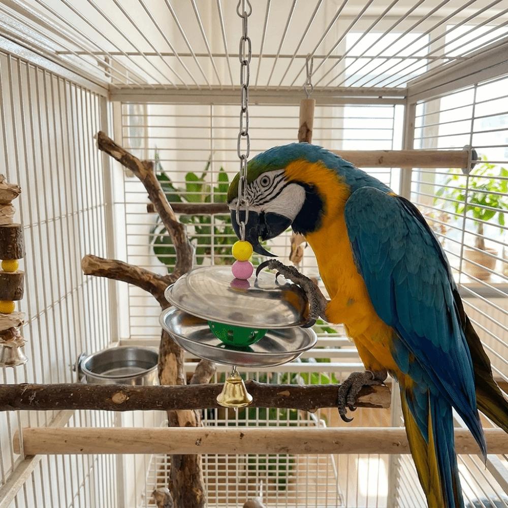Bite Resistant Parrot Bell Pendant Colored Beads Bird Cage Toys Parrots Chew Swing Cage Enrichment