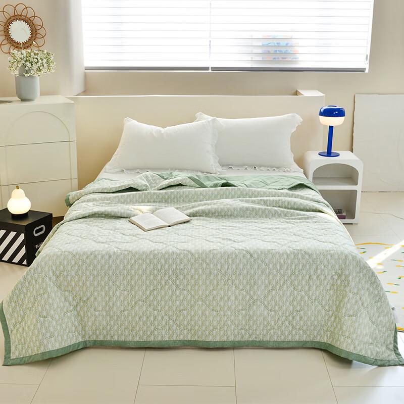 

Yousiman Mugwort Scented Summer Cooling Quilt