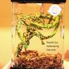Natural Lookings Realistic Vine Safe Artificial Climbing Vine  For Terrariums Decors For Various Amphibian Habitats