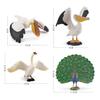 Peafowl Pelican Wildlife Animal Pvc Models For Kids Educational Decor Toys And