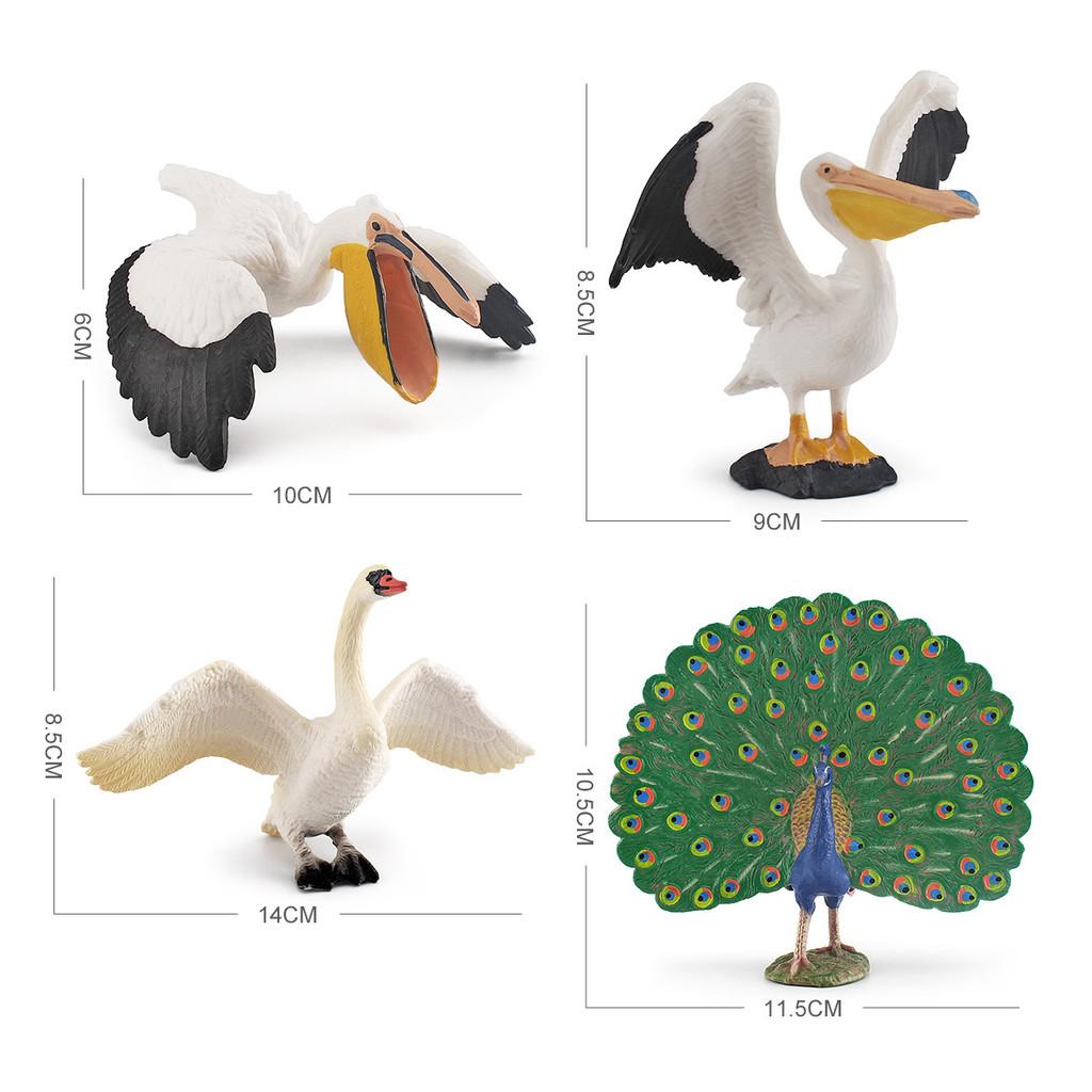 Peafowl Pelican Wildlife Animal Pvc Models For Kids Educational Decor Toys And