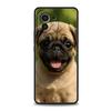 Custodia per Telefono Cane Bulldog Francese Animale Domestico Per Xiaomi Mi 17 15T 15 14 14T 13T 12T Pro 12 13 Lite 5G 11T Poco X6 X7 X5 Pro Cover Morbida