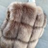Fur Outer Vest New Autumn and Winter Clothing Women's Fashion Casual Imitation Fox Hair Light Luxury Thermal Vest