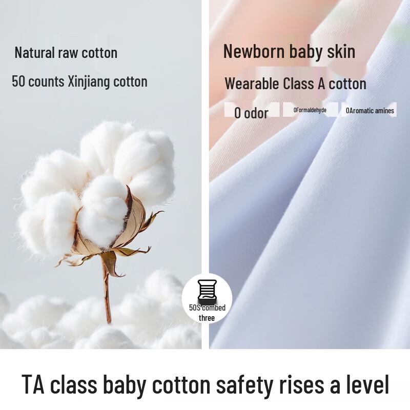 SecretWorld Women's High-Waist Cotton Antibacterial Briefs