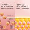 Lakmé Peach Milk Creme Moisturizer,200gm Each (Pack of 2)