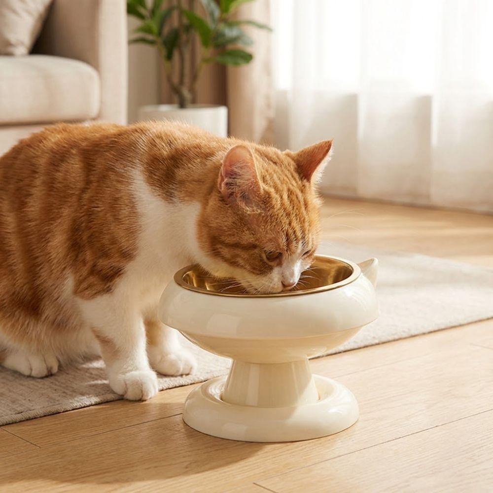 Large Capacity Elevated Cat Bowl Anti-Choking Neck Protection Bowl Cat Food Container Home Use