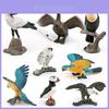 Realistic Pvc Bird Model Collection Including Snowy Owl Bald Eagle Macaw Static Figurines