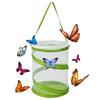 Insecte – Terarii pentru insecte