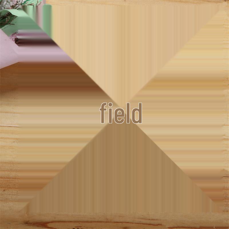 Invisible Self-Adhesive Mosquito Screen Mesh, No-Drill, Freely Cut with Velcro