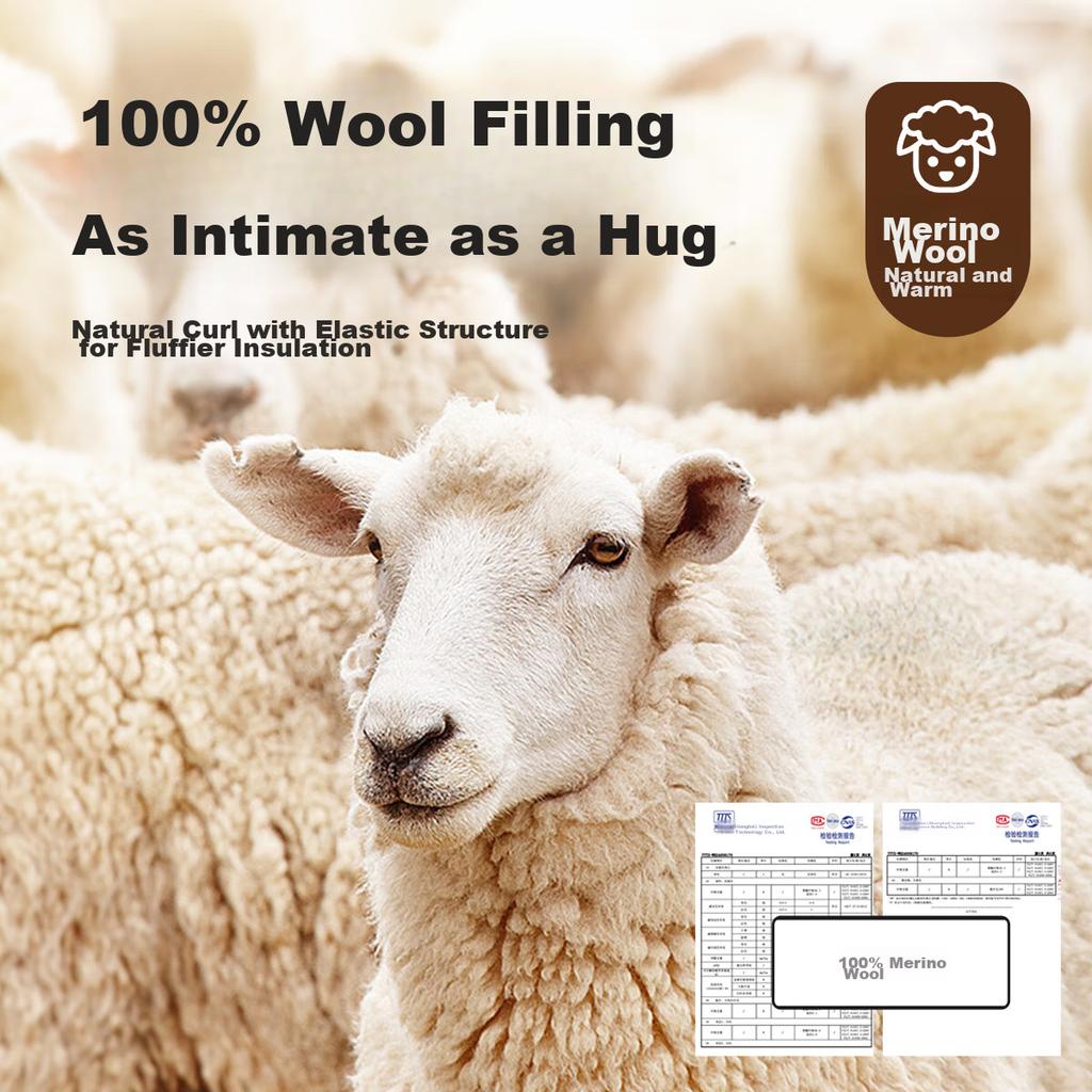 MiiOW [100% Wool Filling Patch] Warm Vest for Men, 7A Antibacterial Autumn And Winter Sleeveless Waistcoat, Round Neck, 25-Year New Product