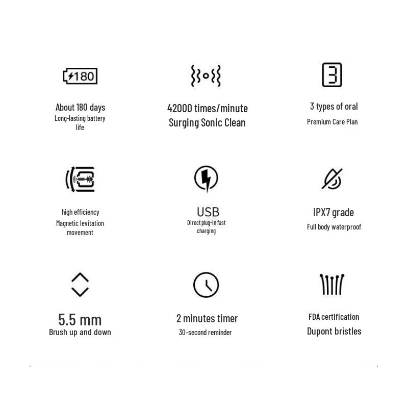 Lebooo C101 Sonic Electric Toothbrush