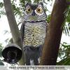 Rotating Head Owl Decoy Protection Repellent Bird Pest Scarer Scarecrow Garden No Sound