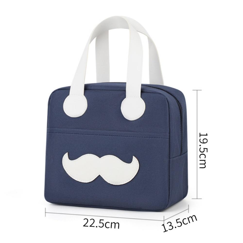 Insulated Lunch Box Large Capacity Bento Pouch Portable Handbag Modern Student Lunch Bag For Picnic Students Travel