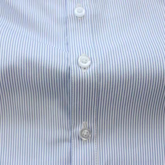 Women's Plus Size Blue Striped Formal Work Shirt - Hidden Button Design