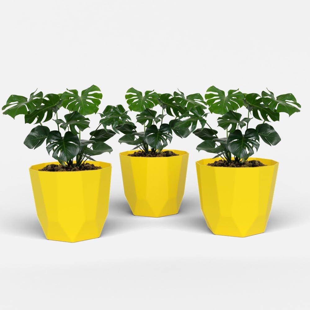 

Гексагональный 6-дюймовый набор из 3 пластиковых цветочных горшков для домашнего декора, горшки для комнатных растений для гостиной, пластиковый цветочный горшок для сада (желтый) 6 INCH жёлтый