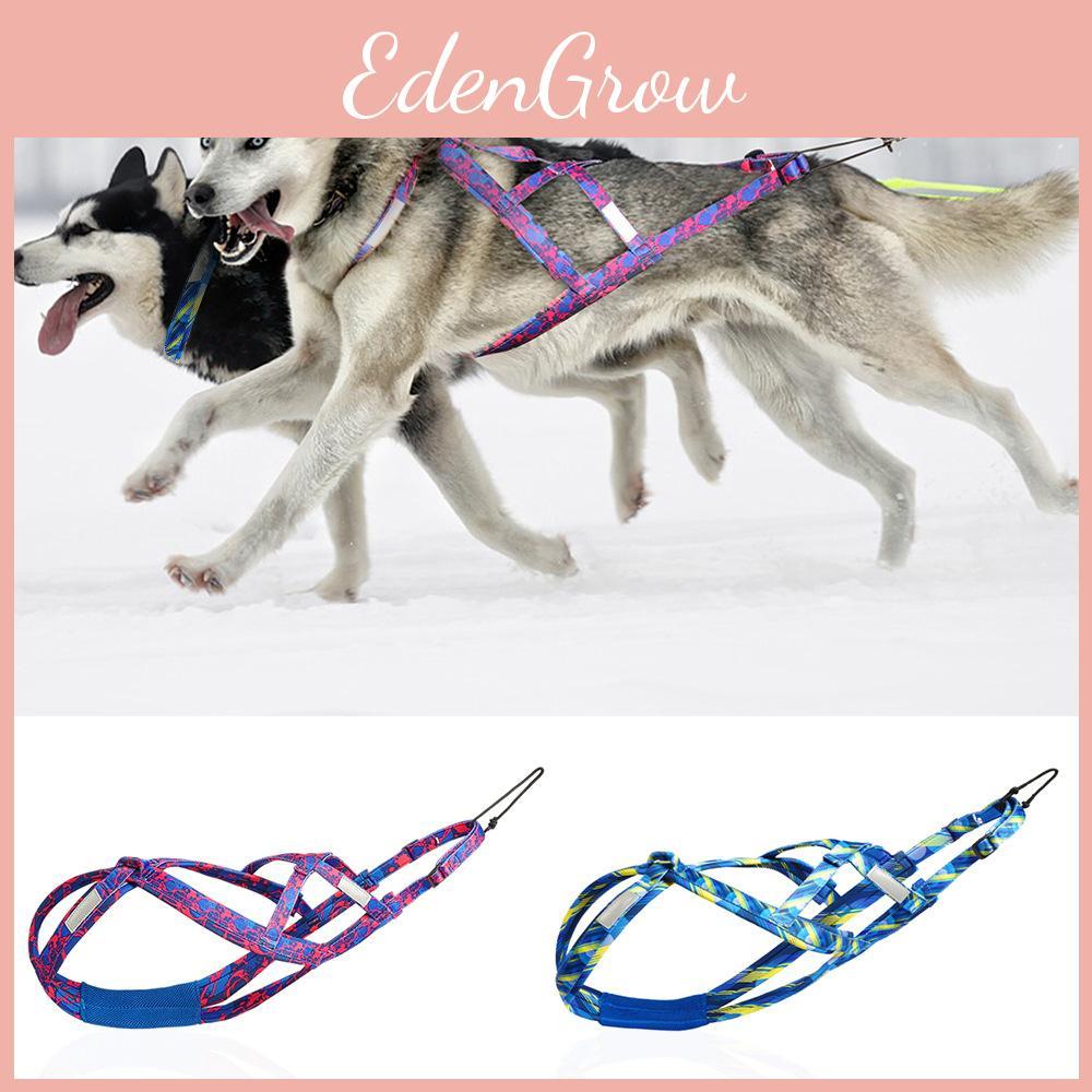 Dog Outside Snow Sled Harness With Adjustable Nylon For Husky And Labrador Training