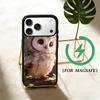 Cute Owl  Phone Case For iPhone 17 16 15 14 13 12  Pro Max Plus for Magsafe Mirror Wireless Magnetic Cover