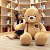 Teddy Bear Plush Hugging Pillow
