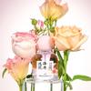 Ladies Perfume Lasting Fragrance Light Fragrance Fresh Ocean Citrus Fruit Fragrance Niche Perfume Ladies
