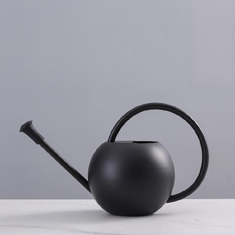 Watering Can Small Watering Can for Indoor Plant Stainless Steel Indoor Watering Can with Long Spout 35oz/400ml