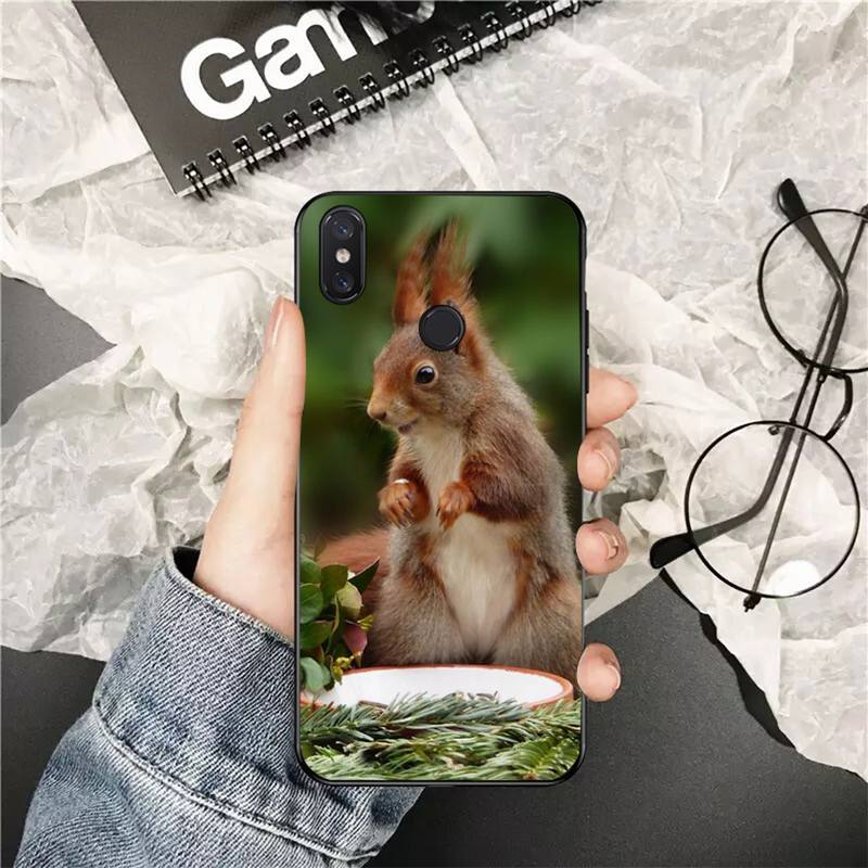 YNDFCNB Cute Animal Squirrel Customer Phone Case for Xiaomi Redmi 5 5Plus 6 6A 4X 7 7A 8 8A 9 Note 5 5A 6 7 8 8Pro 8T 9