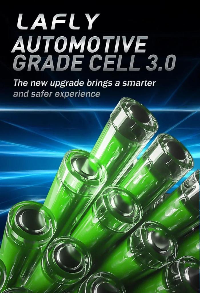 2024 New LAFLY X2 1000W 90KM Electric Mountain Bike 48V 15Ah Electric Bike Snowmobile 26 Inch Tires Ebike Electric Bicycle