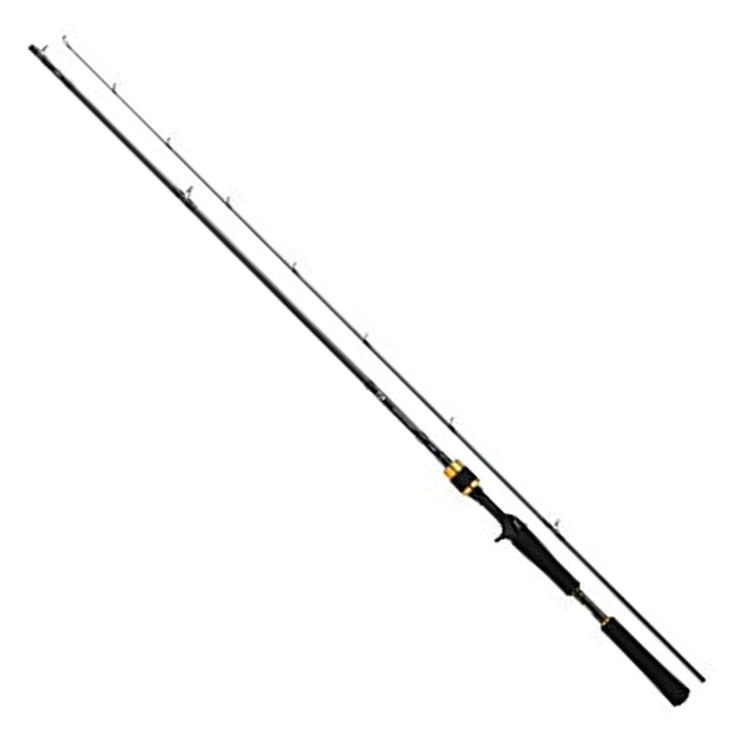 

Удилище для ловли морского окуня DAIWA Boat Lateo BS 73HB