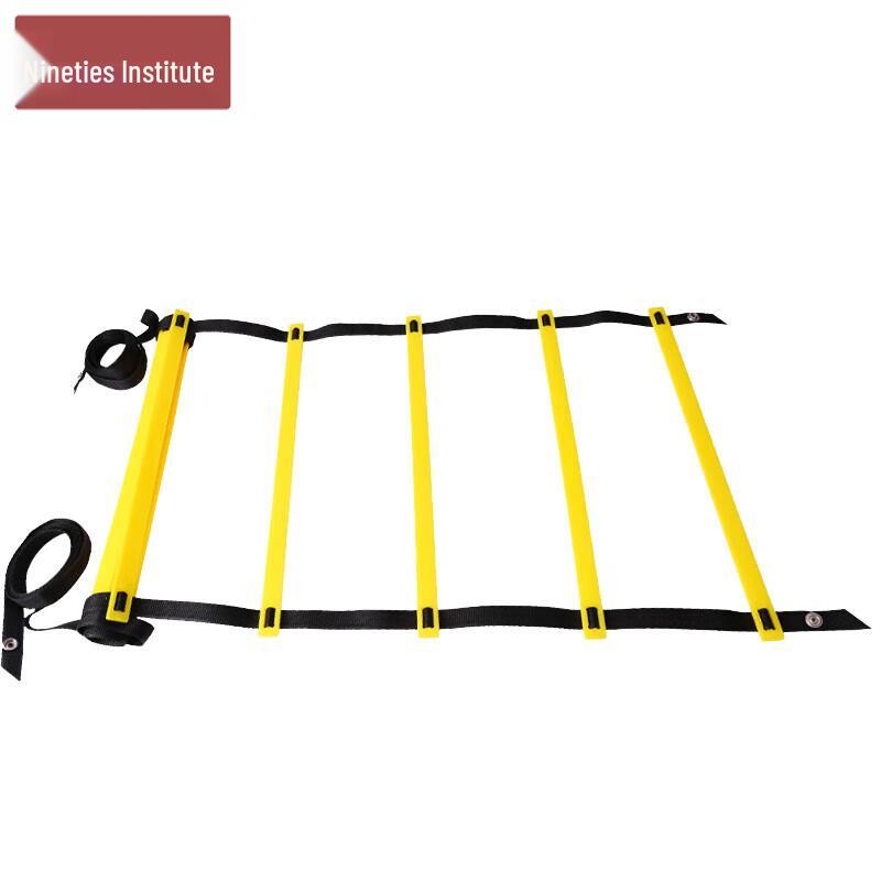 Agility Training Ladder