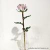 Exquisite Mini Colorful Crystal Rose Flower Vase Ornament Gift