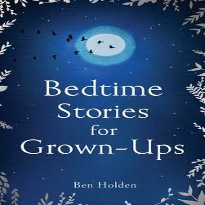 Bedtime Stories for Grownups by Ben Holden Hardback Book 9781471153754