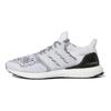 UltraBoost 1.0 DNA