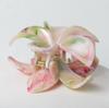 Tropical Flower Hair Claw Clips Hawaiian Plumeria Hair Accessories for Thick and Thin Hair Large Beach Hair Clips for Women Girl
